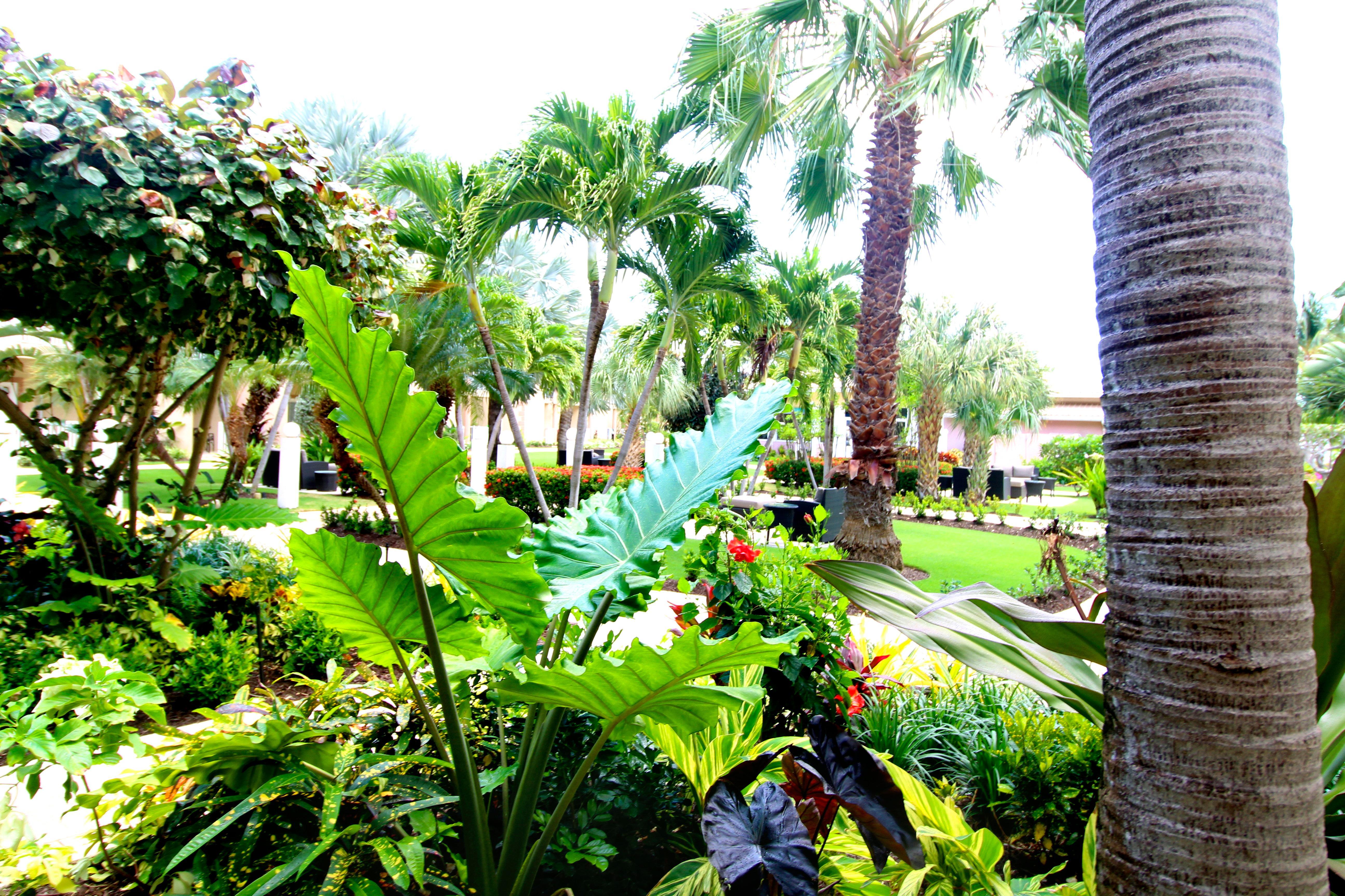 Holiday Inn Resort Grand Cayman By Ihg (Adults Only) West Bay Exterior foto